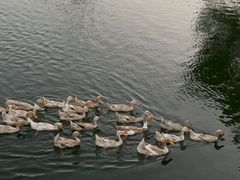 -东钱湖小普陀景区