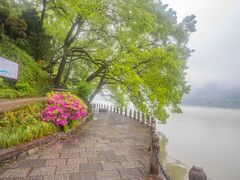 -严子陵钓台(富春江小三峡)