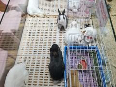 -鹏欣水游城