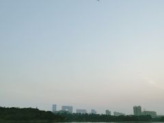 -海珠湖公园