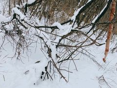 -秦岭风景区