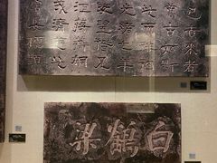 -白鹤梁水下博物馆