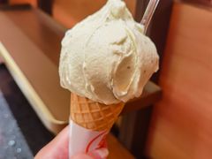 奇异果冰淇淋-野人先生现做冰淇淋(西安赛格店)