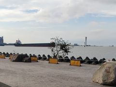 -上海滨江森林公园