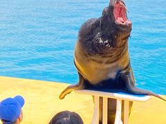 -秦皇岛乐岛海洋王国