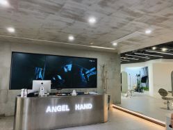 -ANGELHAND
