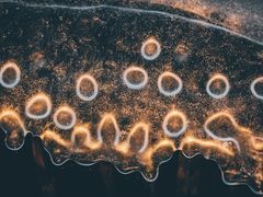 -野鸭湖国家湿地公园