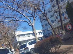 -青岛市口腔医院(总院)