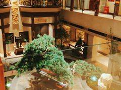 -顺峰(农展馆店)
