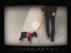 -GO VISION 动视觉婚纱摄影高级定制
