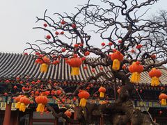 -颐和园