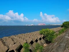 -上海滨江森林公园