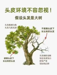 -诗碧曼养发
