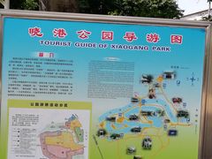 -晓港公园