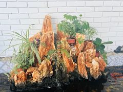 -ins森林童话餐厅coffee&bistro