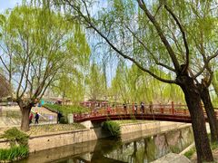 -元大都城垣遗址公园