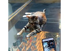 -猫的天空之城概念书店(杭州南宋御街店)