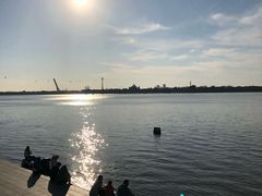 -人民防洪胜利纪念塔