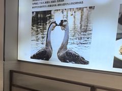 -陆记鹅庄·潮汕菜·狮头鹅(大仟里店)