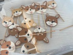 -汪说喵讲宠物乐园宠物酒店(红星美凯龙店)