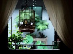 -道南書院·私房菜·早午茶·茶馆