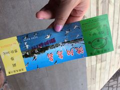 鸟岛公园-沈阳鸟岛