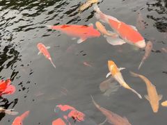 -径山寺