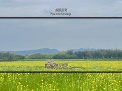 -良渚古城遗址公园
