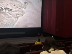 -首都电影院(天津店 中国巨幕)