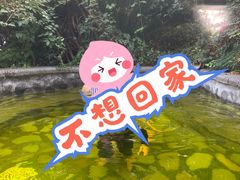 -杭州第一世界大酒店·云曼温泉