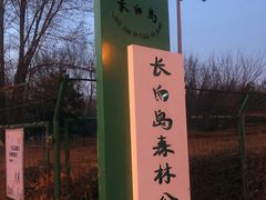 -长白岛森林公园