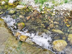 -白河湾生态旅游一条川