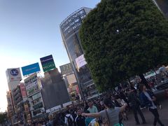 -涩谷区