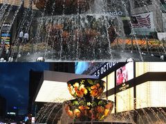 -明记烧鱼美味店