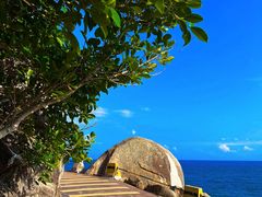 -广东惠东海龟国家级自然保护区