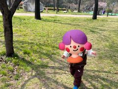 -唐城墙遗址公园