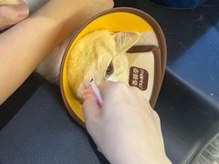 -御宝贝·A梦猫科宠物医院(国际猫友好医院)