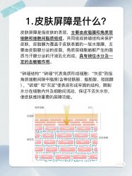 点击看大图 -玛莲朵·海菲秀冰珀科