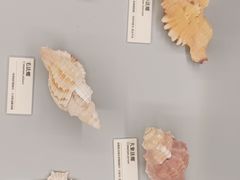 -天津古林古海岸遗迹博物馆