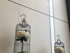 -成都尼依格罗酒店