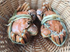 -蟹村草堂·苏式园林人文农家·大闸蟹