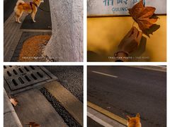 -颐和路民国时期公馆-风貌区