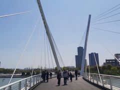 -映月湖中央公园