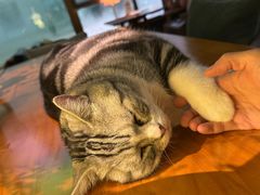 -咖法森林·咖啡  酒吧(天河店)