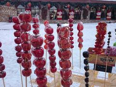 -长白山万达喜来登度假酒店