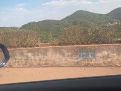 -牛街螺丝田