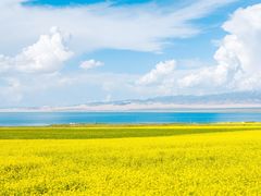 -青海湖国家重点风景名胜区