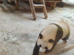 -西安秦岭野生动物园