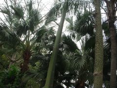-南宁南湖公园