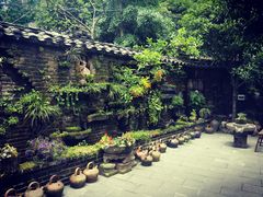 -青城甲(青城山店)